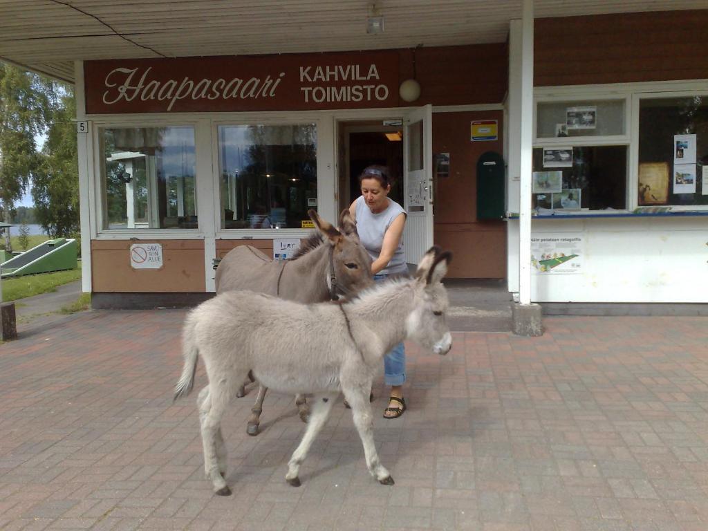 Haapasaaren Lomakyla Hotel Ruovesi Zewnętrze zdjęcie